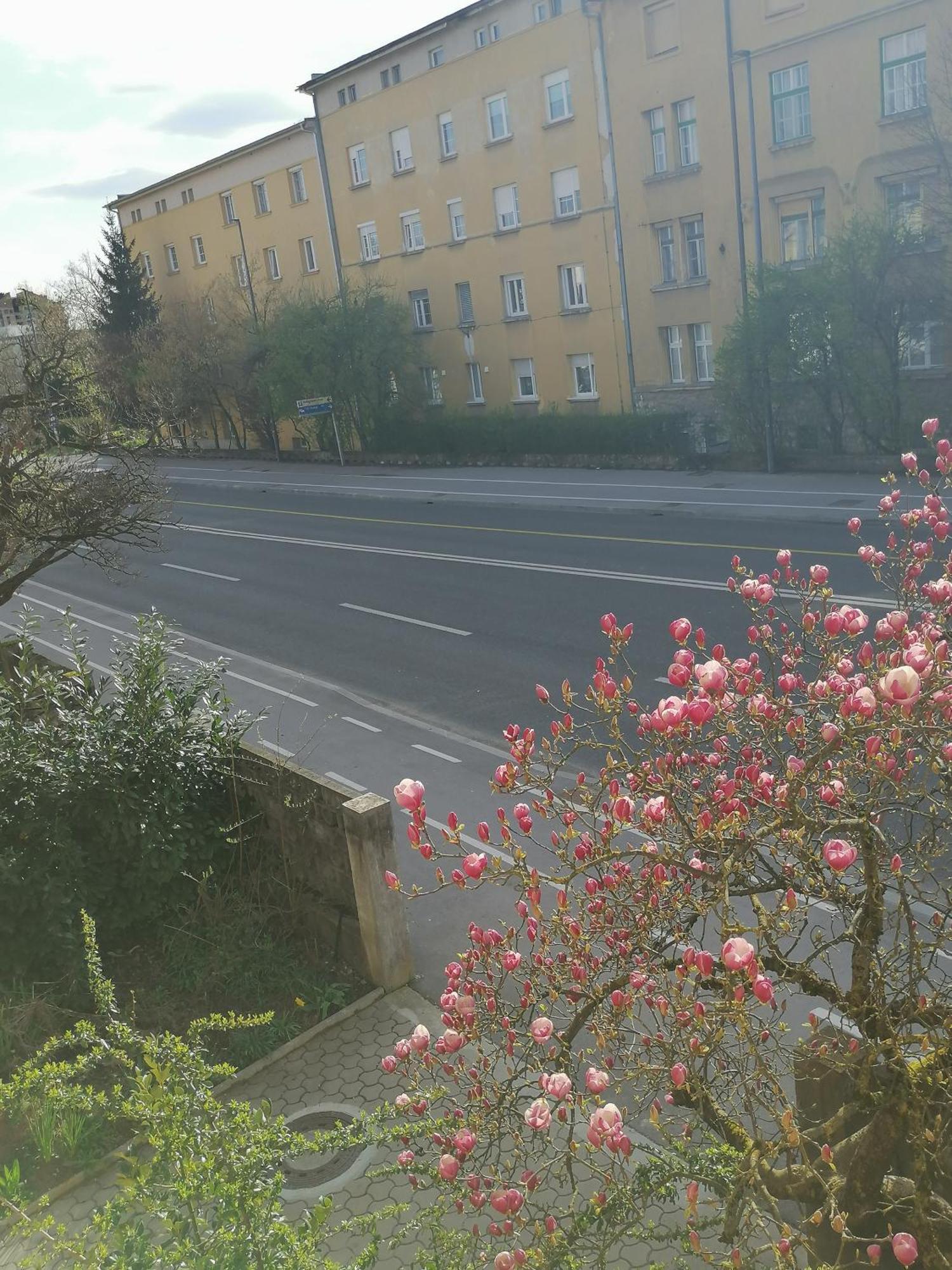 Pirc Apartment On Dunajska Street Lubiana Esterno foto